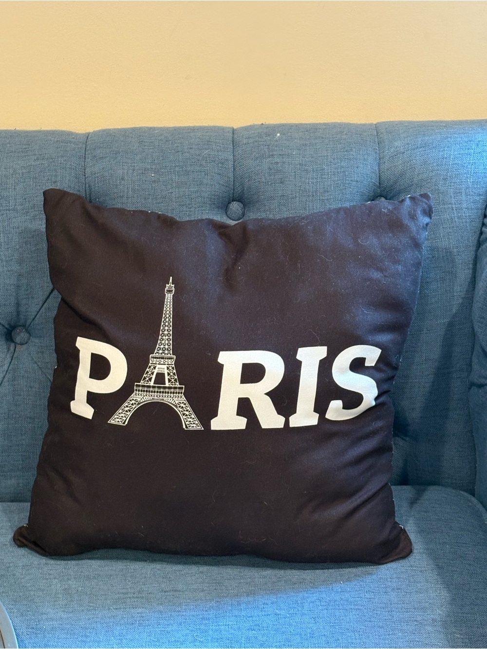 Paris Eiffel Accent Pillow - Black Decorative Throw